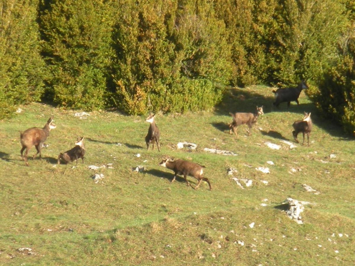 Hotel Du Col De La Machine Saint-Jean-en-Royans Zewnętrze zdjęcie