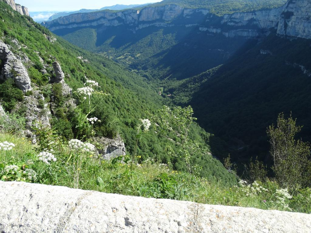 Hotel Du Col De La Machine Saint-Jean-en-Royans Zewnętrze zdjęcie